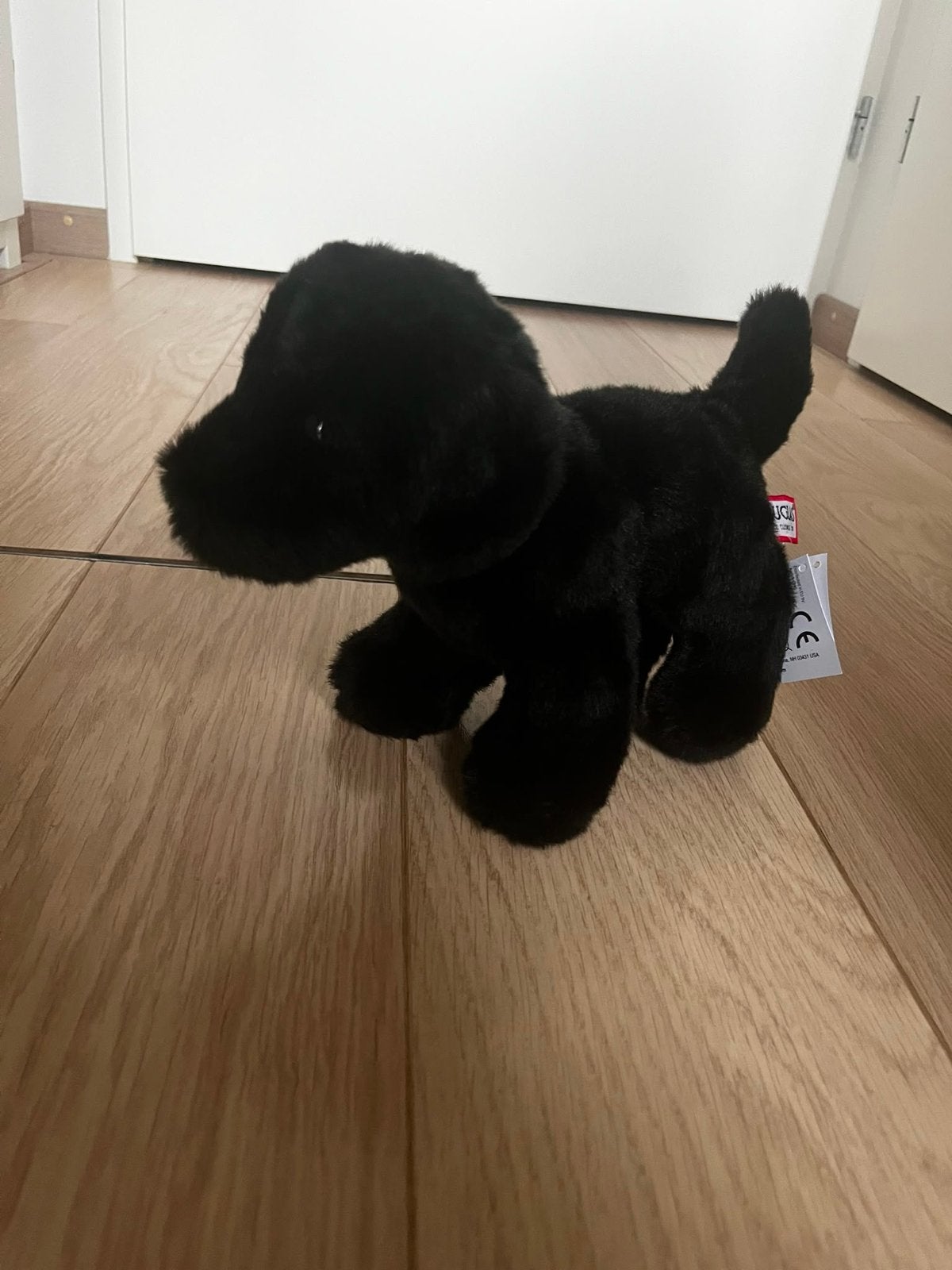 Douglas Bear Zwarte Labrador Knuffel 25 cm Nieuw, Overige merken, Nieuw, Zwart, Met label