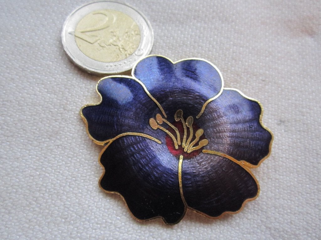 30.  Mooie broche, Sieraden, Tassen en Uiterlijk, Antieke sieraden, Ophalen, Overige materialen, Broche