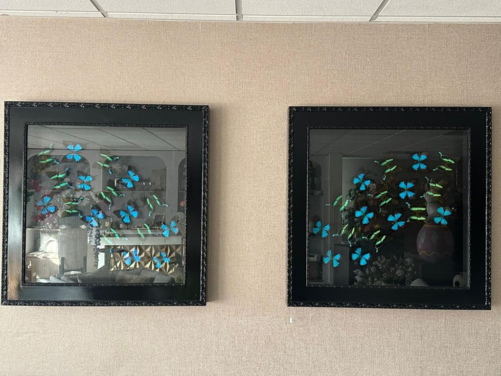 Unieke 3D Lijst met Echte Morpho Vlinders - 90x90 cm, Hout, Gebruikt, Meerkleurig, Overige stijlen