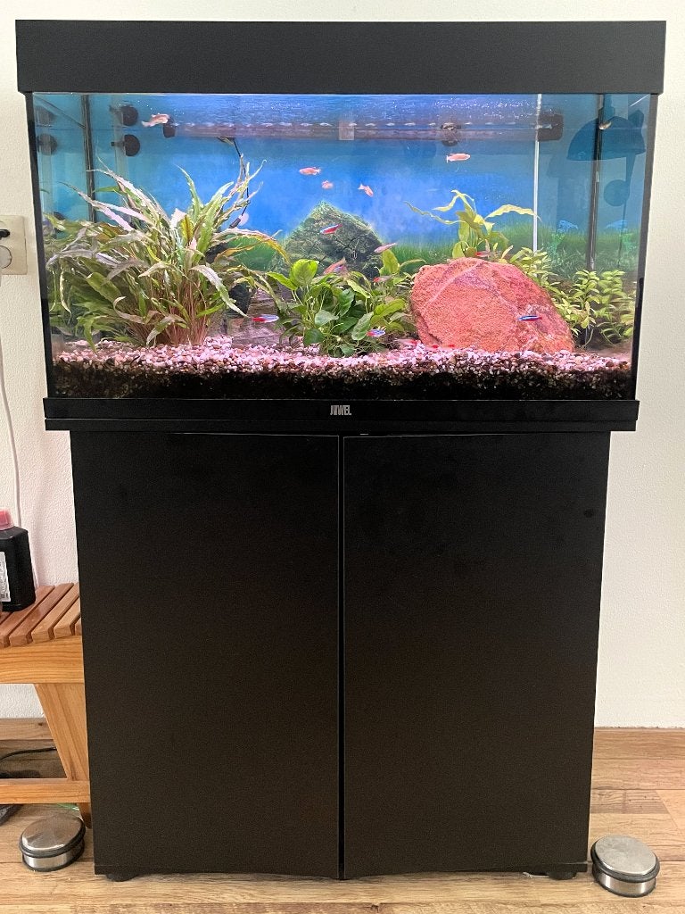 Juwel Aquarium 125 liter met toebehoren, Dieren en Toebehoren, Ophalen, Gebruikt, Overige typen, Inclusief vissen