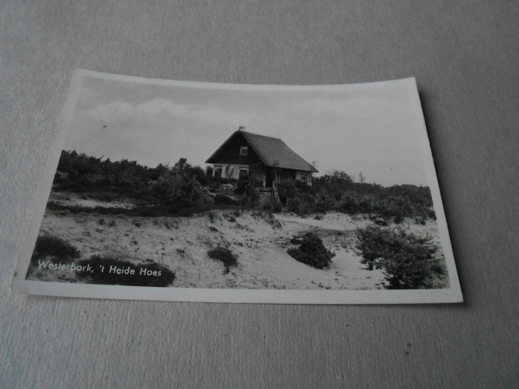 WESTERBORK, Ophalen of Verzenden, 1940 tot 1960, Gelopen, Drenthe