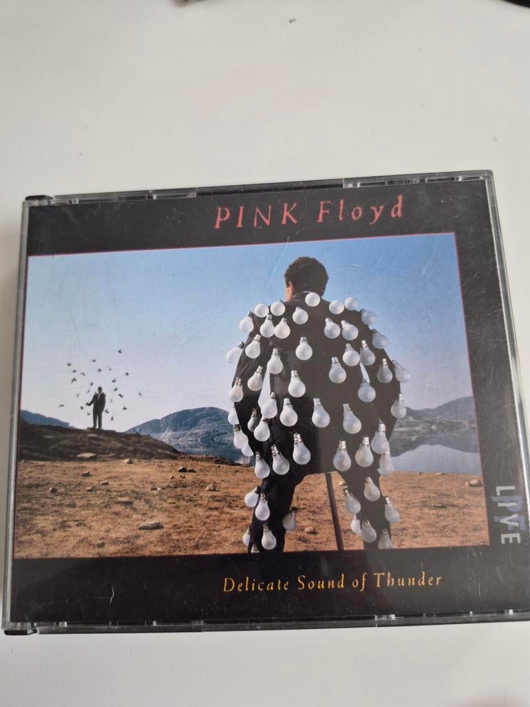 Pink Floyd - Delicate Sound of Thunder (Live CD), Cd's en Dvd's, Cd's | Rock, Gebruikt, Progressive, Ophalen of Verzenden