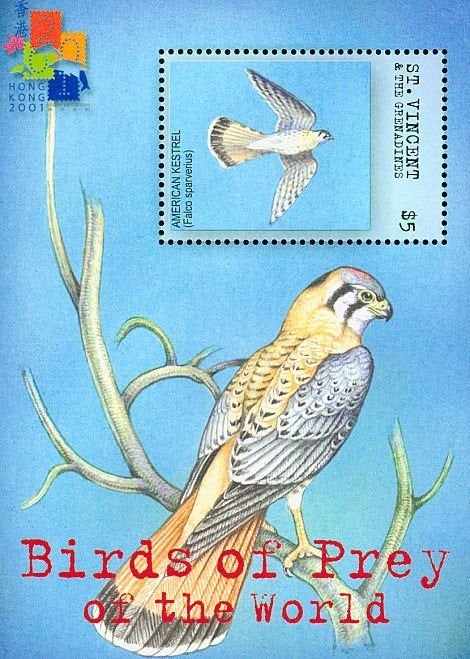SINT VINCENT 36 - Dieren: vogels (Amerikaanse torenvalk), Ophalen of Verzenden, Postfris, Dier of Natuur