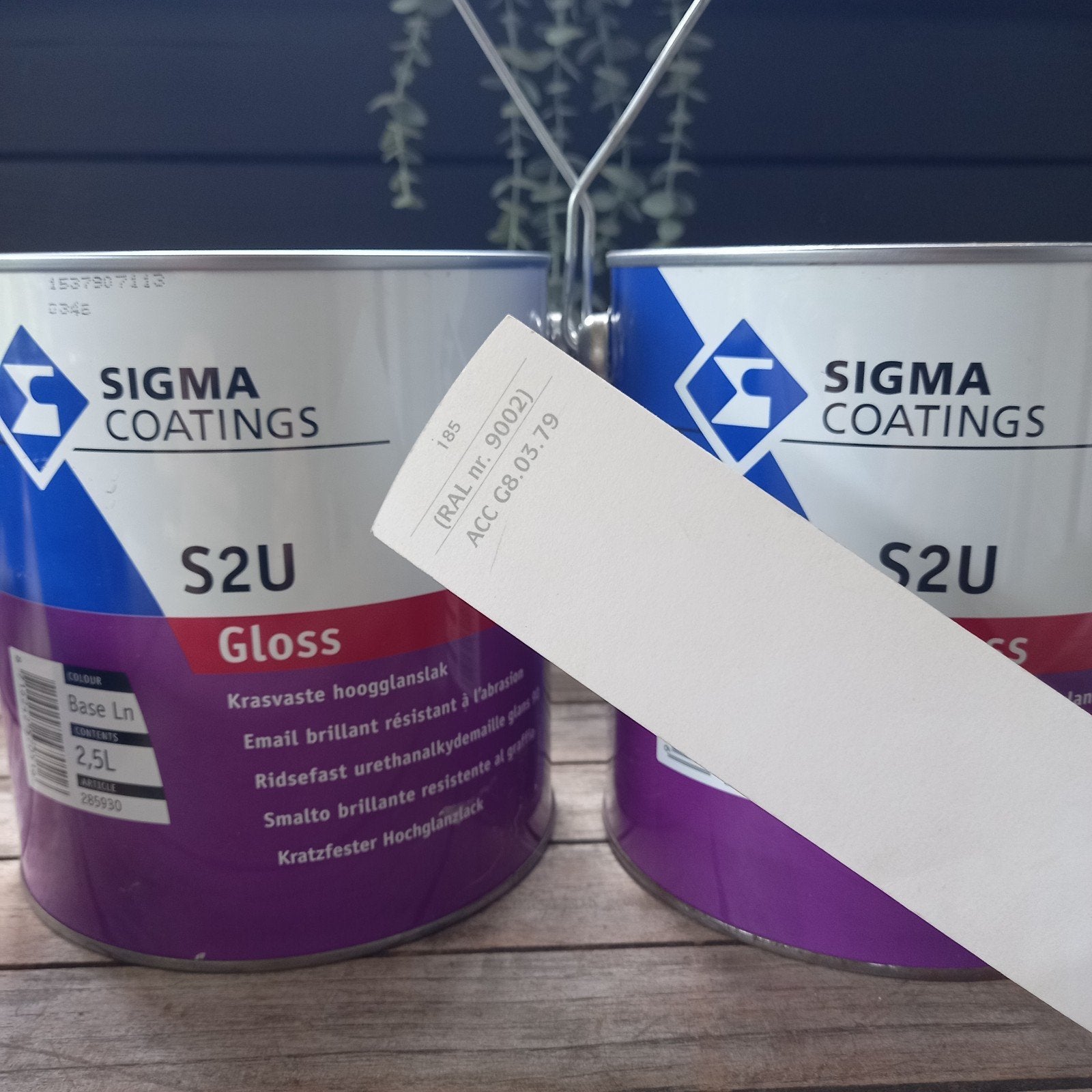 Sigma krasvaste hoogglanslak, Ophalen, Wit