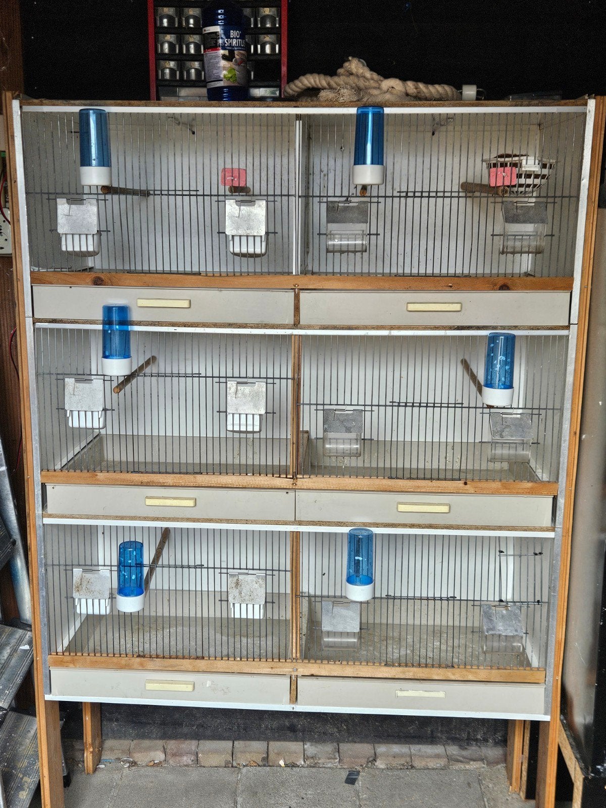 Te koop broedkooi/uitvliegkooi, Dieren en Toebehoren, Vogels | Hokken en Kooien, Ophalen, Broedkooi of Kweekkooi