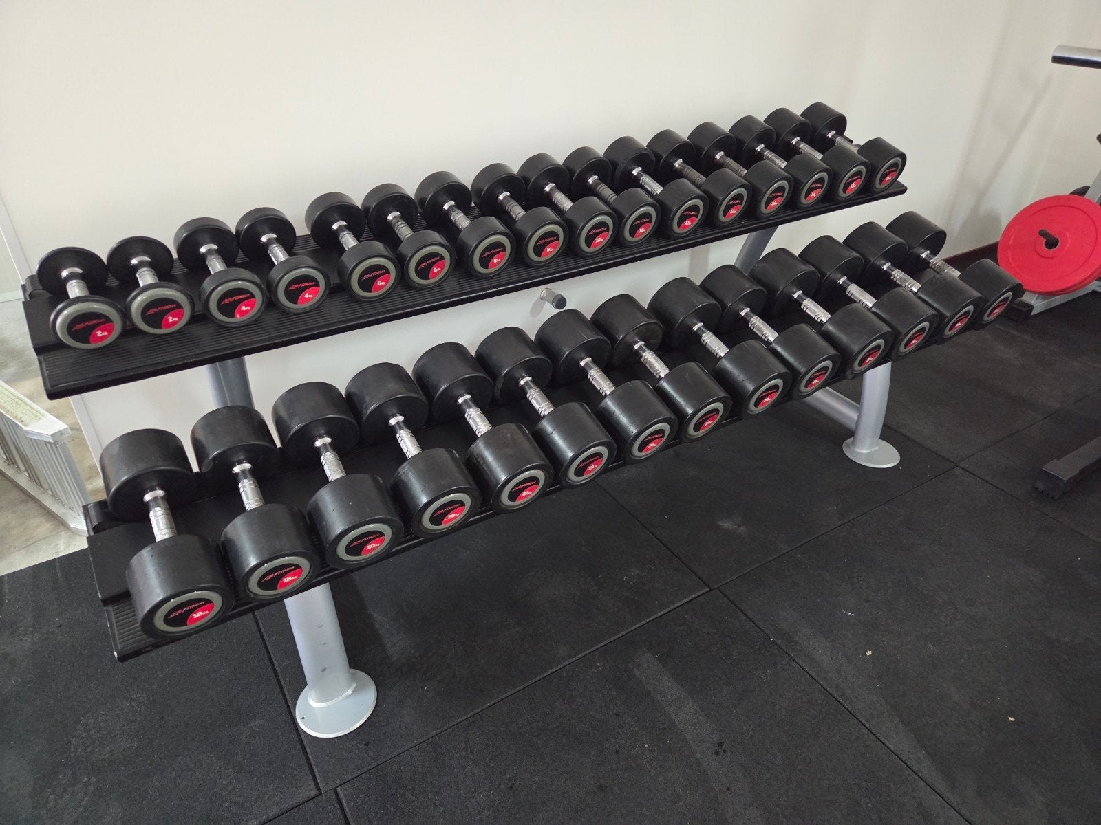 lifefitness life fitness dumbells gewichten van 2 tot 30kg, Ophalen, Dumbbell