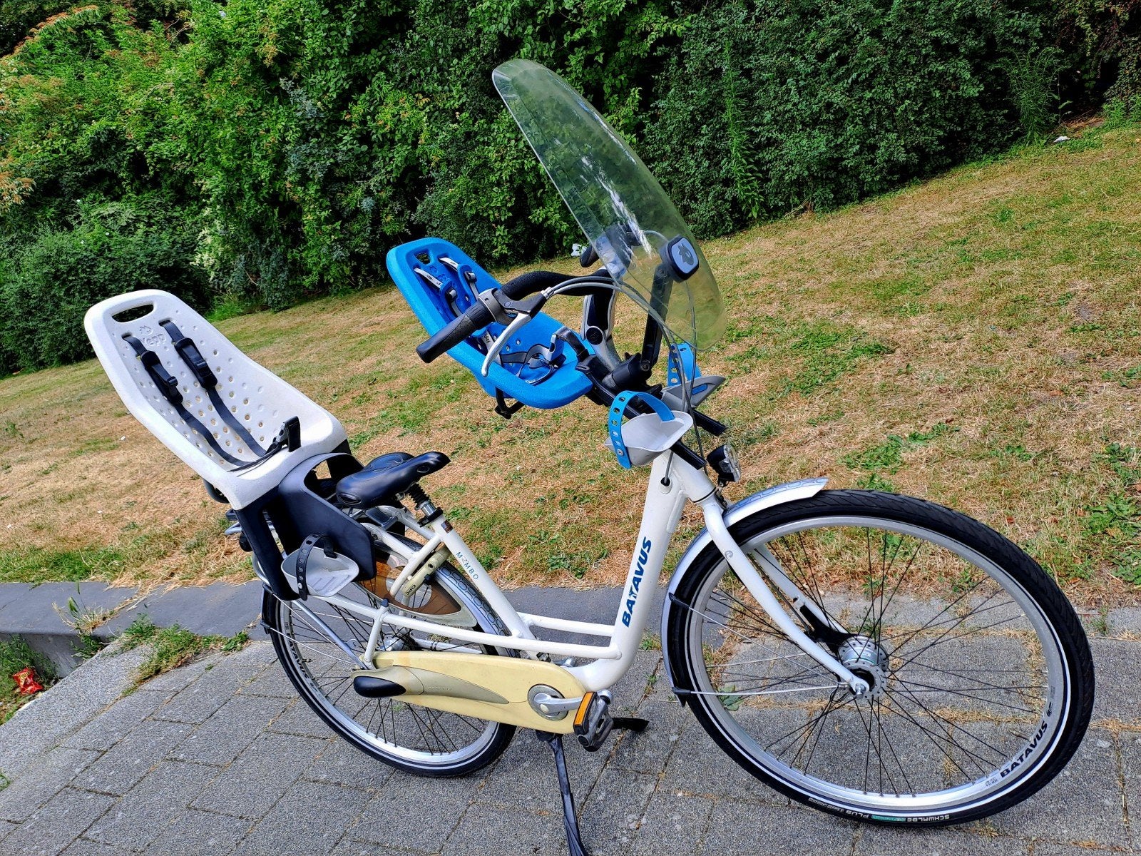 BATAVUS MAMBO moederfiets met kinderzitjes, Ophalen, 2 zitjes, 53 tot 56 cm, Batavus