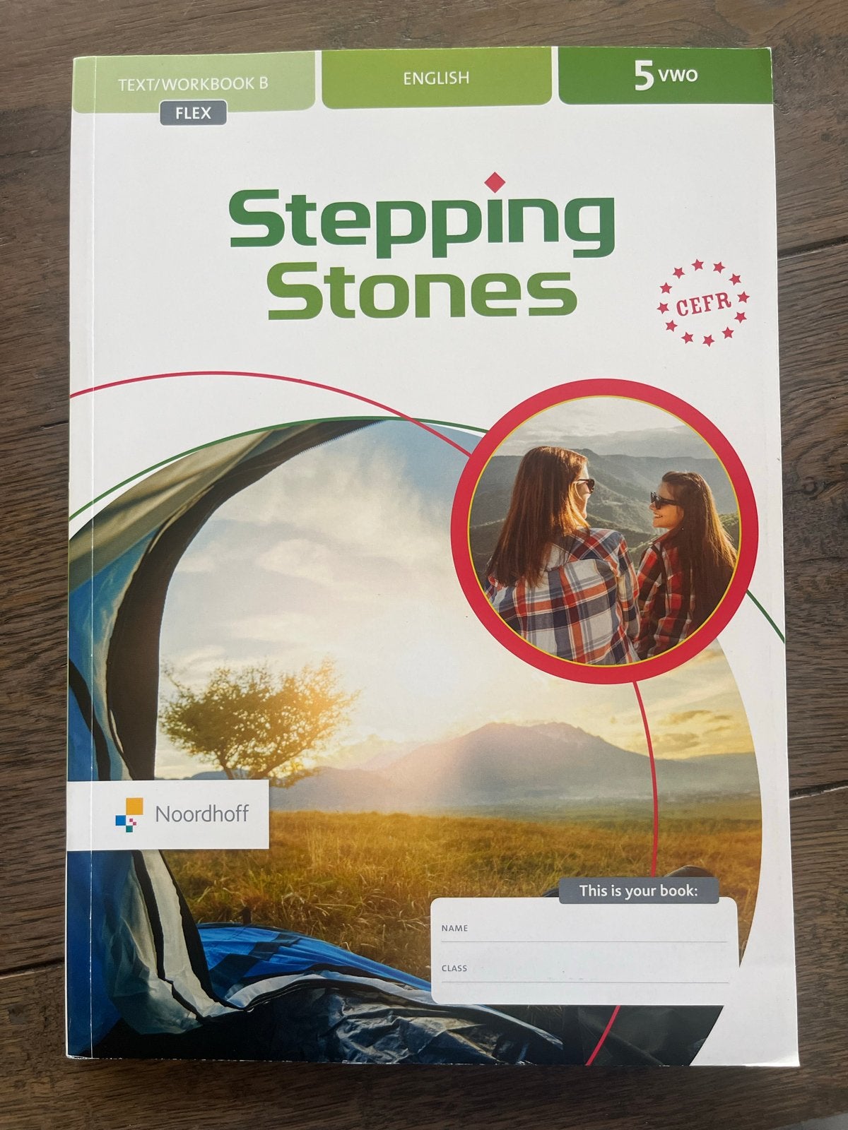 Stepping Stones Engels 5 vwo Text/Workbook B FLEX, Ophalen of Verzenden, Zo goed als nieuw, Non-fictie