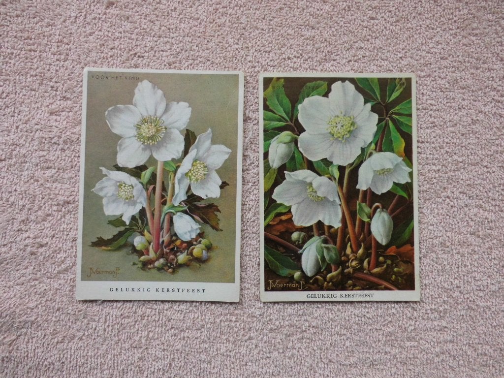 2 Oude Kerstkaarten - Kerstroos - J. Voerman Jr, Ophalen of Verzenden, 1940 tot 1960, Gelopen, Feest(dag)