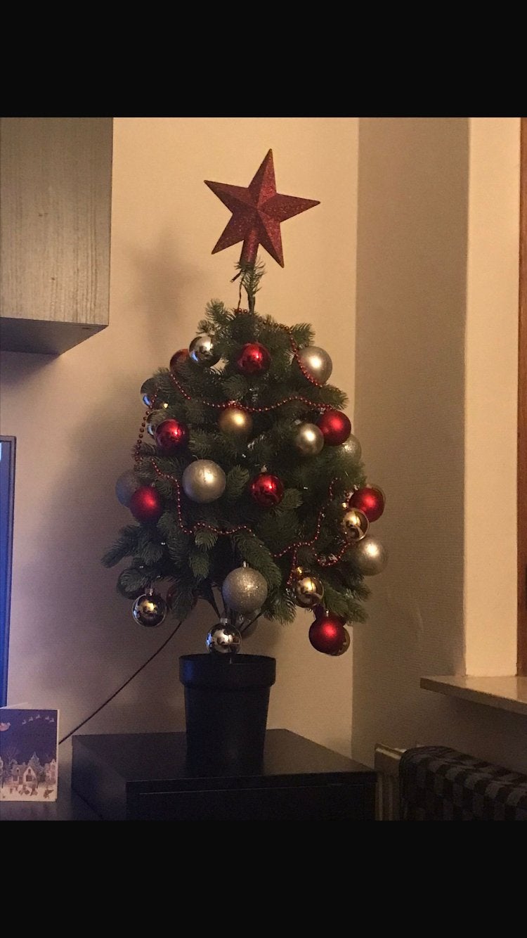 Kerstboom en decoratie, Ophalen, Zo goed als nieuw