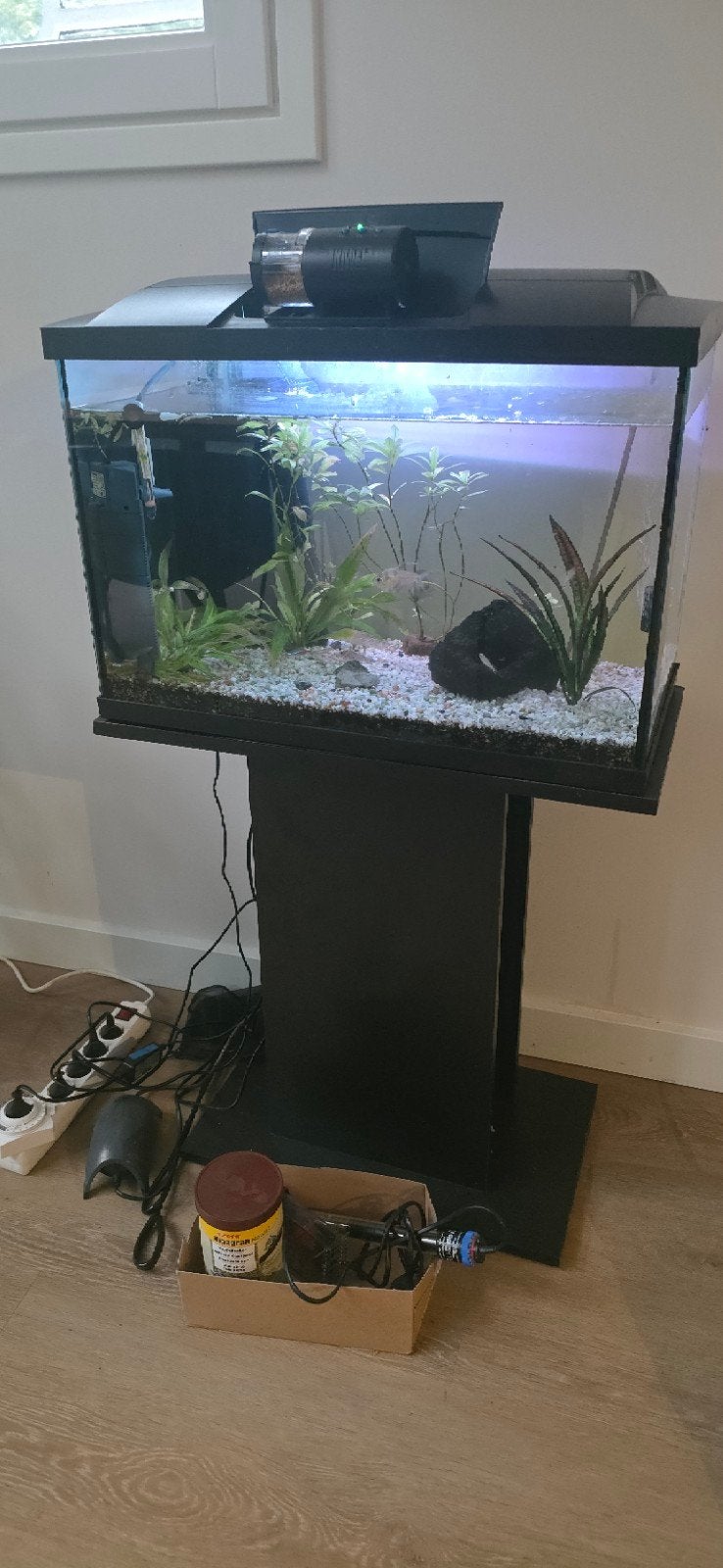 Aquarium, Ophalen, Inclusief vissen, Juwel, Gevuld zoetwateraquarium