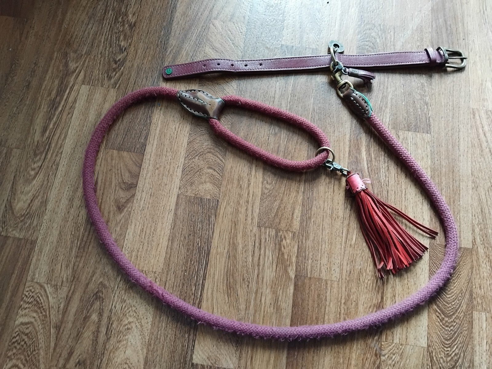 halsband en riem van het merk DWAM (Dogs with a mission), Ophalen of Verzenden, Gebruikt, Hondenriem