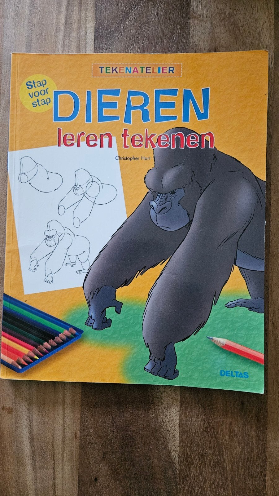 Stap voor stap dieren leren tekenen - Tekenatelier, Ophalen of Verzenden, Gebruikt, Boek of Gids