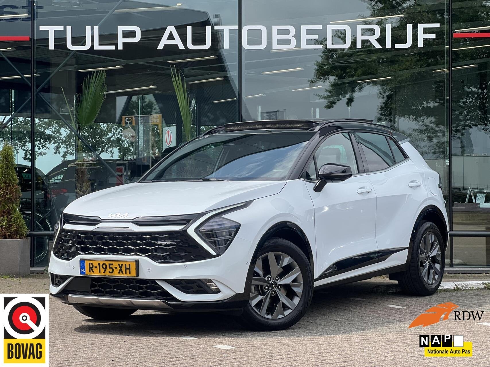 Kia Sportage 1.6 T-GDi Hybrid GT-PlusLine Automaat Pano Dak, Dealer onderhouden, Gebruikt, 4 cilinders, 1650 kg