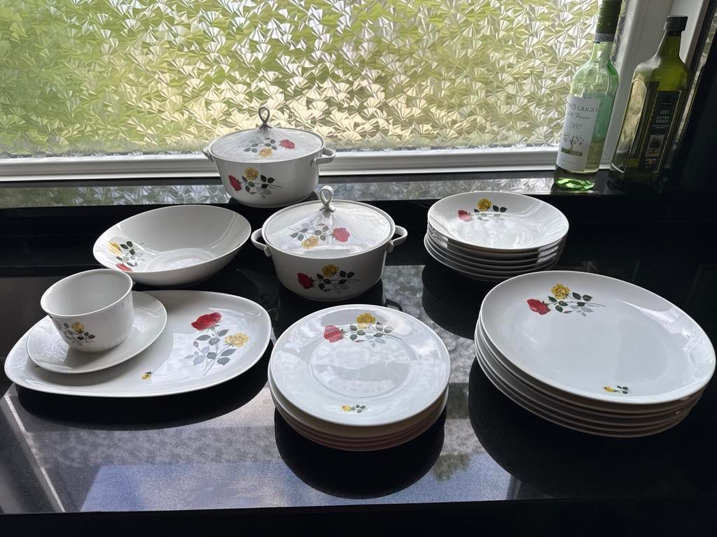 Bavaria Porzellan Servies met Rozenmotief, Ophalen of Verzenden, Zo goed als nieuw, Overige stijlen, Porselein