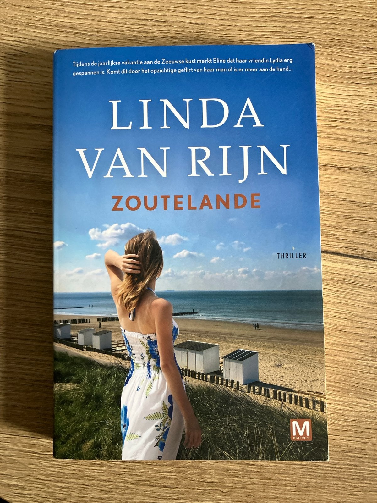 Linda van Rijn - Zoutelande (Thriller), Boeken, Ophalen of Verzenden, Zo goed als nieuw, Nederland