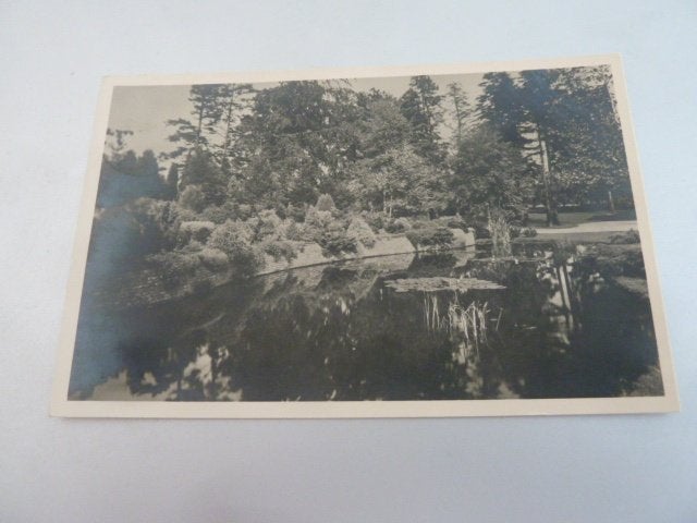 Velp 1954 Fotokaart Tuin met vijver Hotel De Roskam, Ophalen of Verzenden, 1940 tot 1960, Gelopen, Gelderland