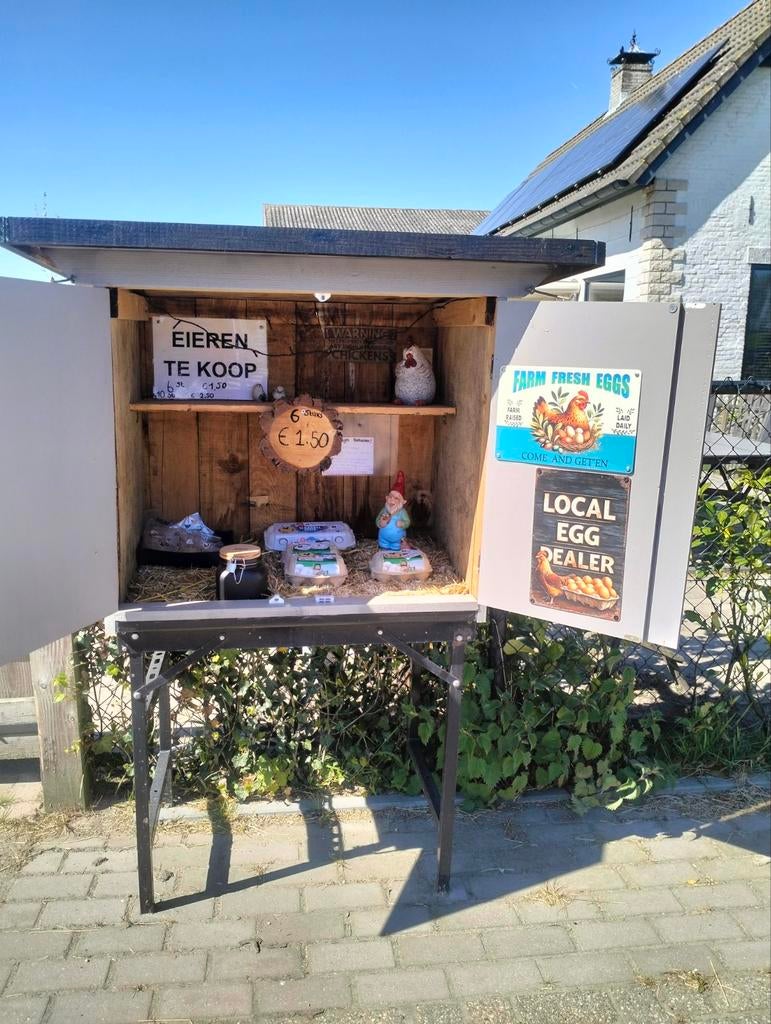 Verse eitjes van onze geliefde kipjes