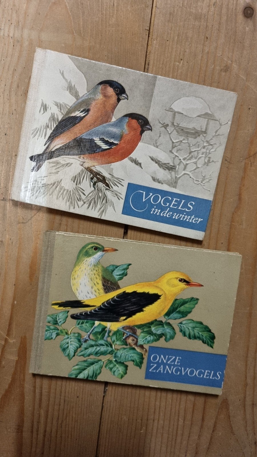 2 Vintage Vogelboeken: Vogels in de winter & Onze Zangvogels, Boeken, Ophalen of Verzenden, Gelezen, Vogels, Onbekend