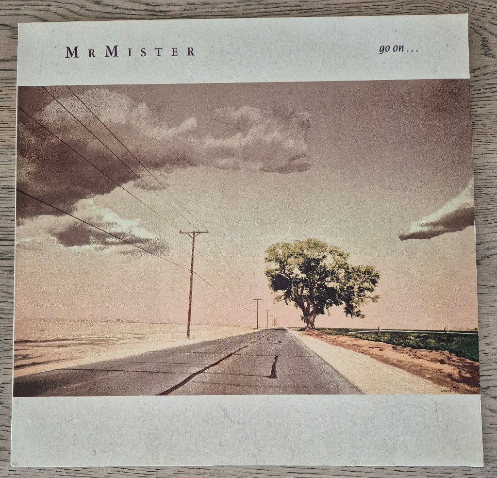 Mr. Mister – Go On..., Cd's en Dvd's, Vinyl | Pop, Ophalen of Verzenden, Pop, LP