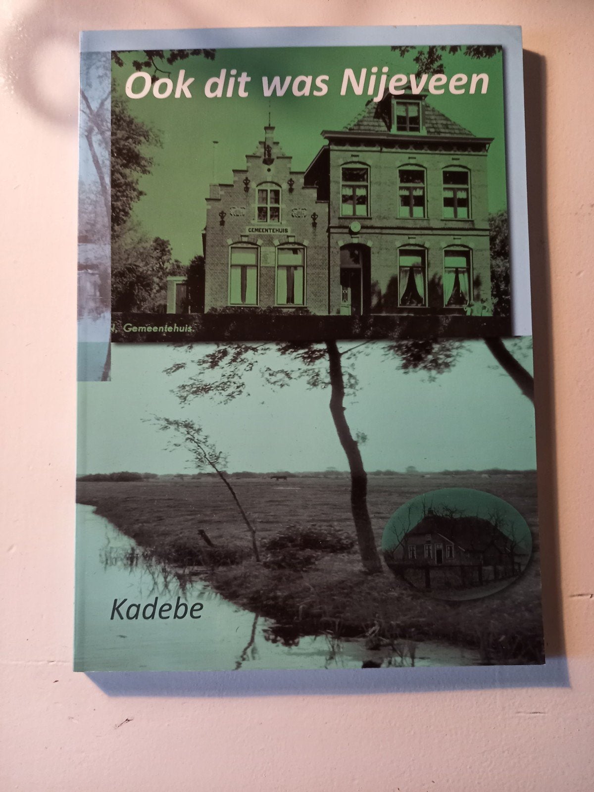 h30 Ook dit was Nijeveen - Historisch boek, Ophalen of Verzenden, 20e eeuw of later, Gelezen, Kadebe