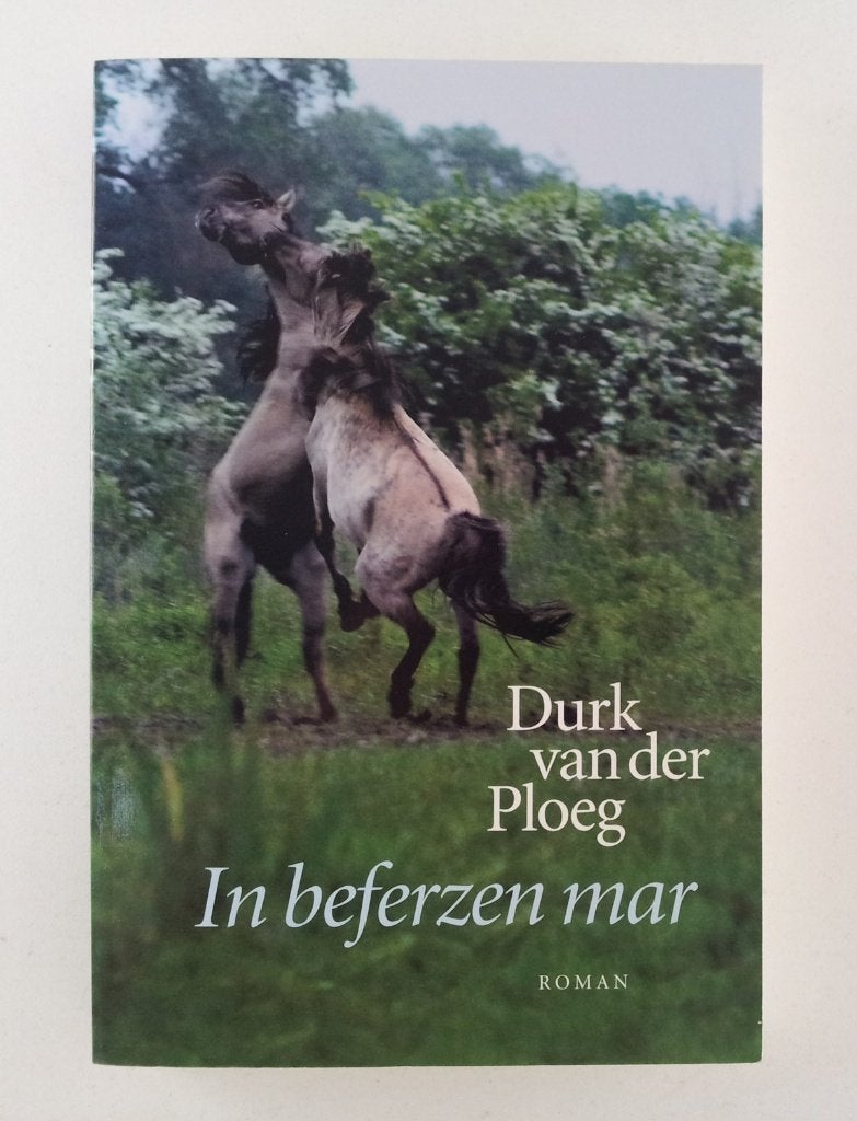 Ploeg, Durk van der - In beferzen mar / roman, Verzenden, Gelezen