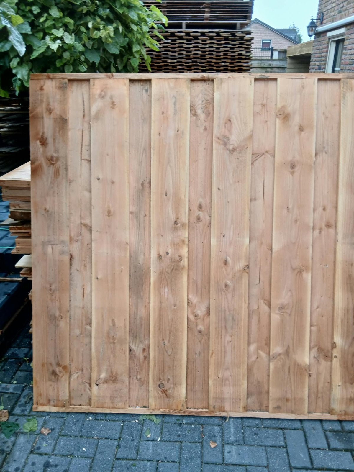 Dichte Douglas schermen., Ophalen, 1 tot 2 meter, Minder dan 3 meter, Nieuw