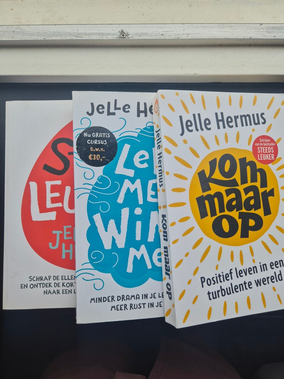 Jelle Hermus boeken, Ophalen of Verzenden, Zo goed als nieuw, Ontwikkelingspsychologie, Jelle Hermus
