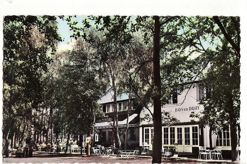 Udenhout Bos en Duin 1963 mooie Bromocolor kaart., Verzamelen, Ansichtkaarten | Nederland, Verzenden, 1960 tot 1980, Ongelopen