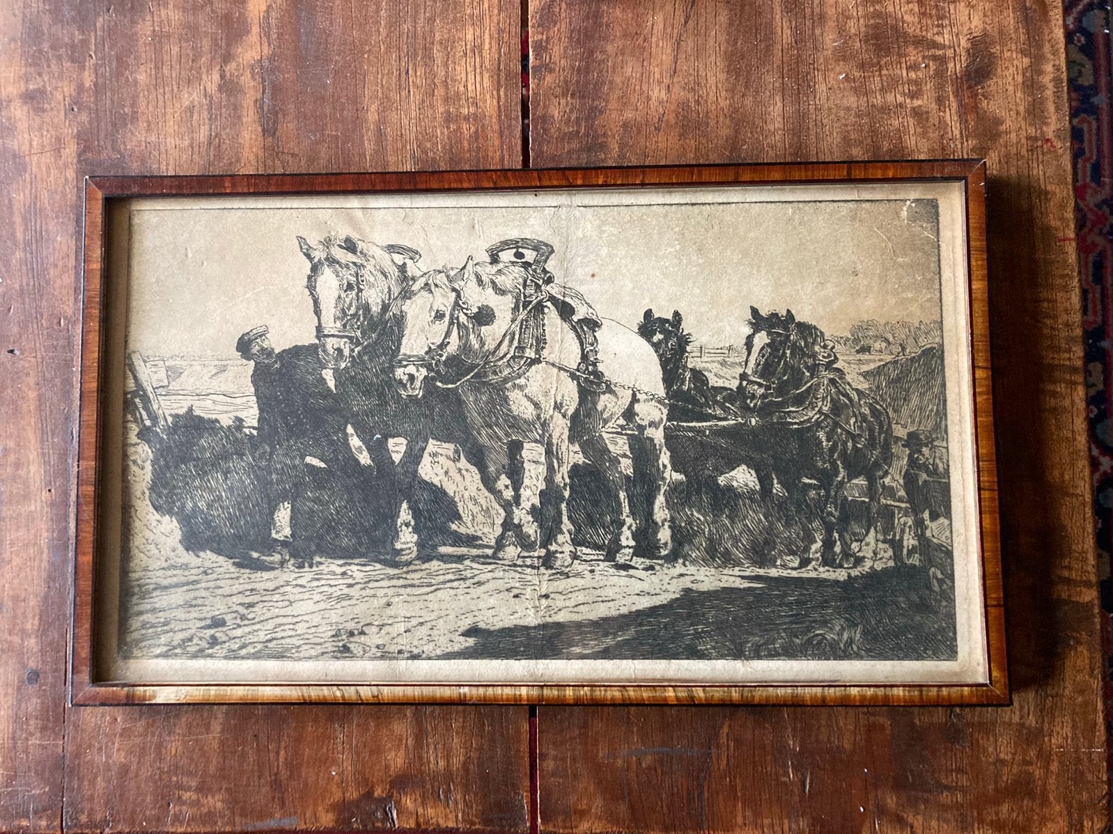 Te koop: mooie ets met paarden., Ophalen of Verzenden