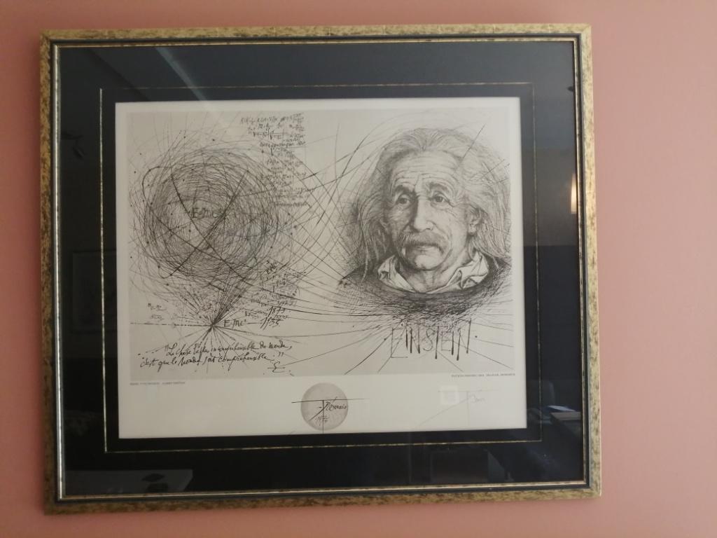 Einstein ( Trémois 1974)Hoogte 80cm--Breedte 90cm), Antiek en Kunst, Ophalen of Verzenden