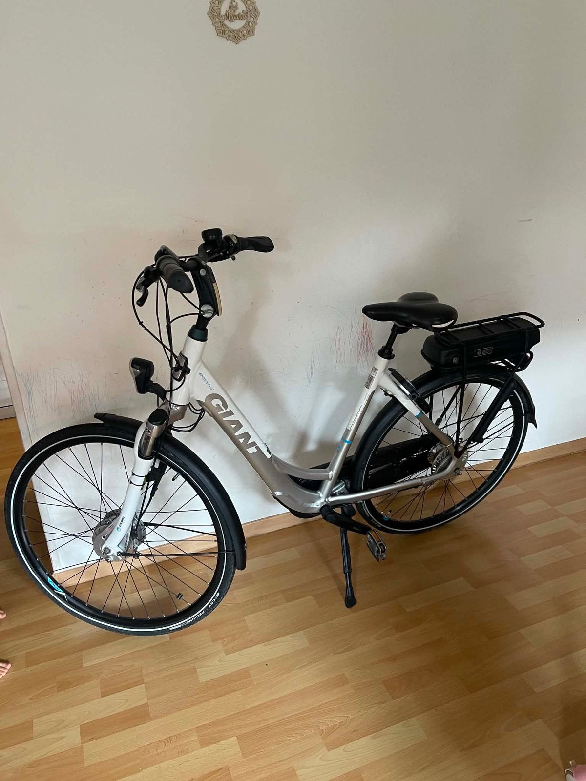 GIANT, Fietsen en Brommers, Ophalen of Verzenden, Zo goed als nieuw, Overige merken