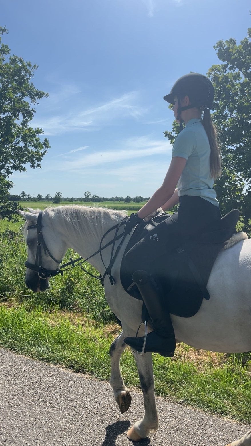 Verzorgpony gezocht, Ophalen, Zo goed als nieuw