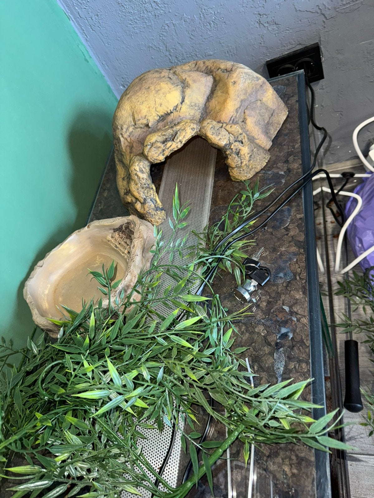 Terarium 80x40x50, Dieren en Toebehoren, Slang, 0 tot 2 jaar