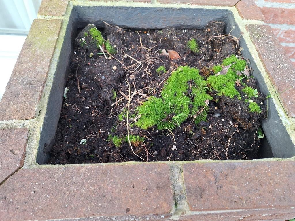 Plantenbak, Tuin en Terras, Ophalen, Overige soorten, Volle zon