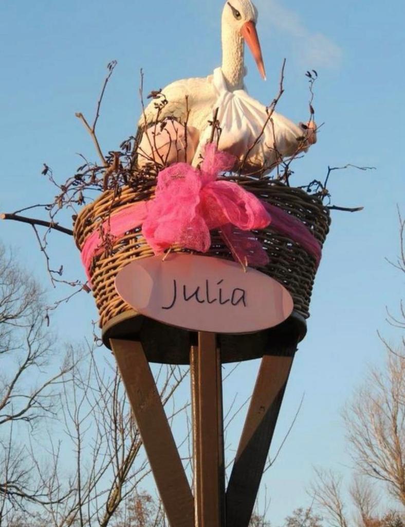 Geboorte Kraam Ooievaar op nest, Kinderen en Baby's, Kraamcadeaus en Geboorteborden, Ophalen, Zo goed als nieuw
