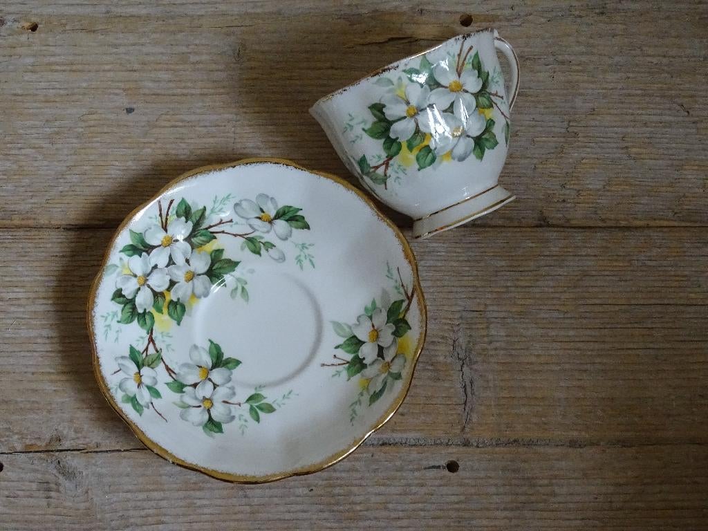 Kop-en-schotel, Royal Albert WHITE DOGWOOD, gaaf, Ophalen of Verzenden