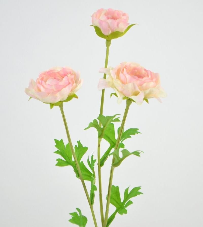 RANONKEL - KUNST - ROZE, Ophalen of Verzenden, Nieuw