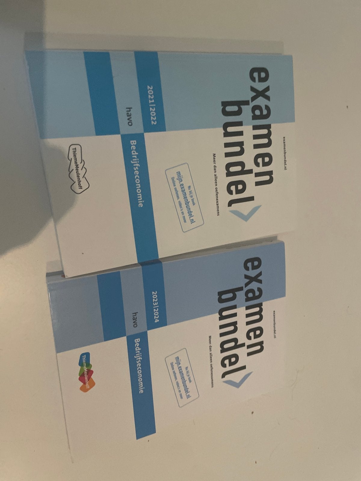 Examenbundel Bedrijfseconomie HAVO 2021/2022 en 2023/2024, Boeken, Schoolboeken, Ophalen of Verzenden, Zo goed als nieuw, HAVO