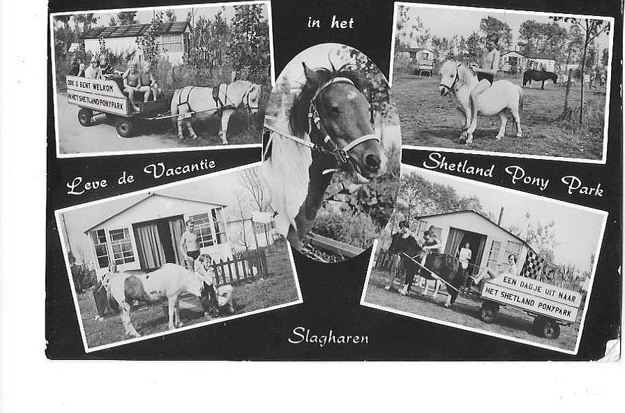 Slagharen, Ophalen of Verzenden, 1960 tot 1980, Gelopen, Overijssel