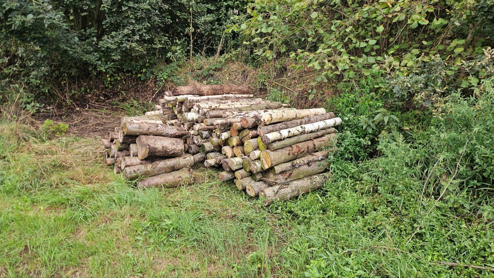 Brandhout mix 4m³ gestapeld, Tuin en Terras, Haardhout, 3 tot 6 m³, Ophalen, Overige houtsoorten, Blokken