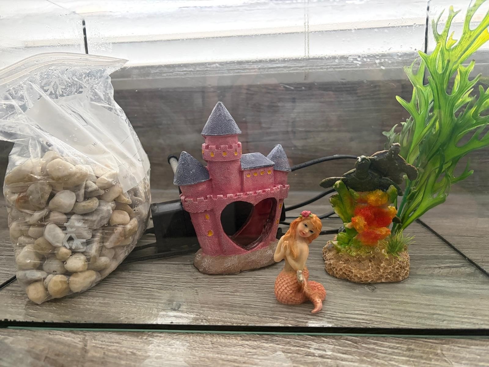 vis aquarium met pomp en accesoires, Ophalen, Inclusief toebehoren, Zo goed als nieuw, Vissenkom