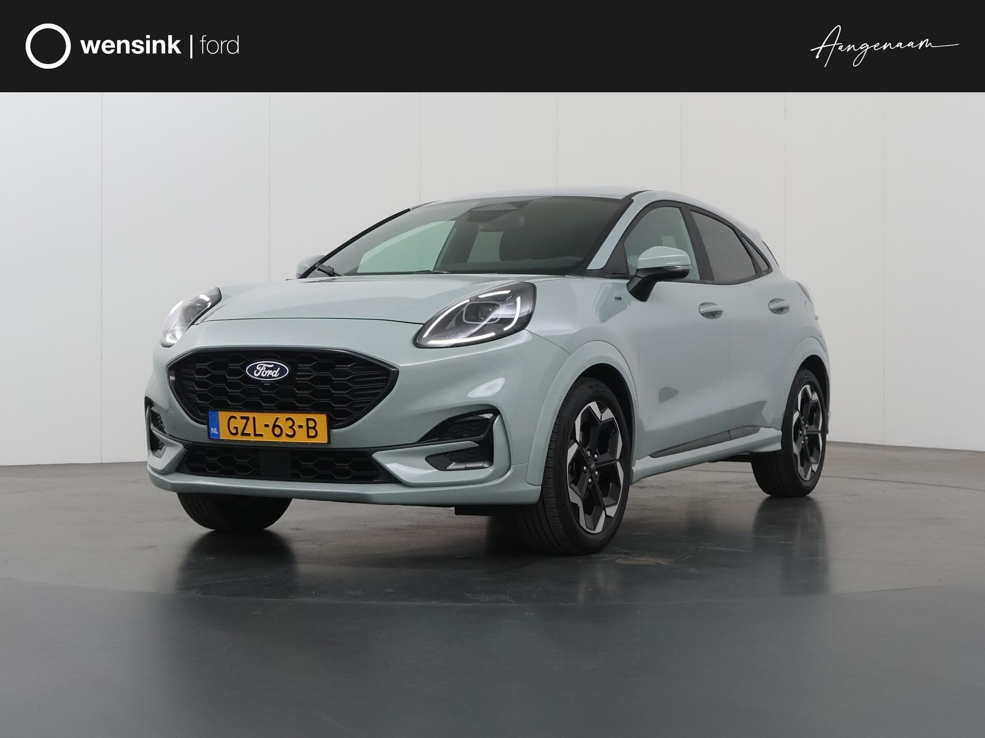 Ford Puma 1.0 EcoBoost Hybrid ST-Line X | Trekhaak | Winterp