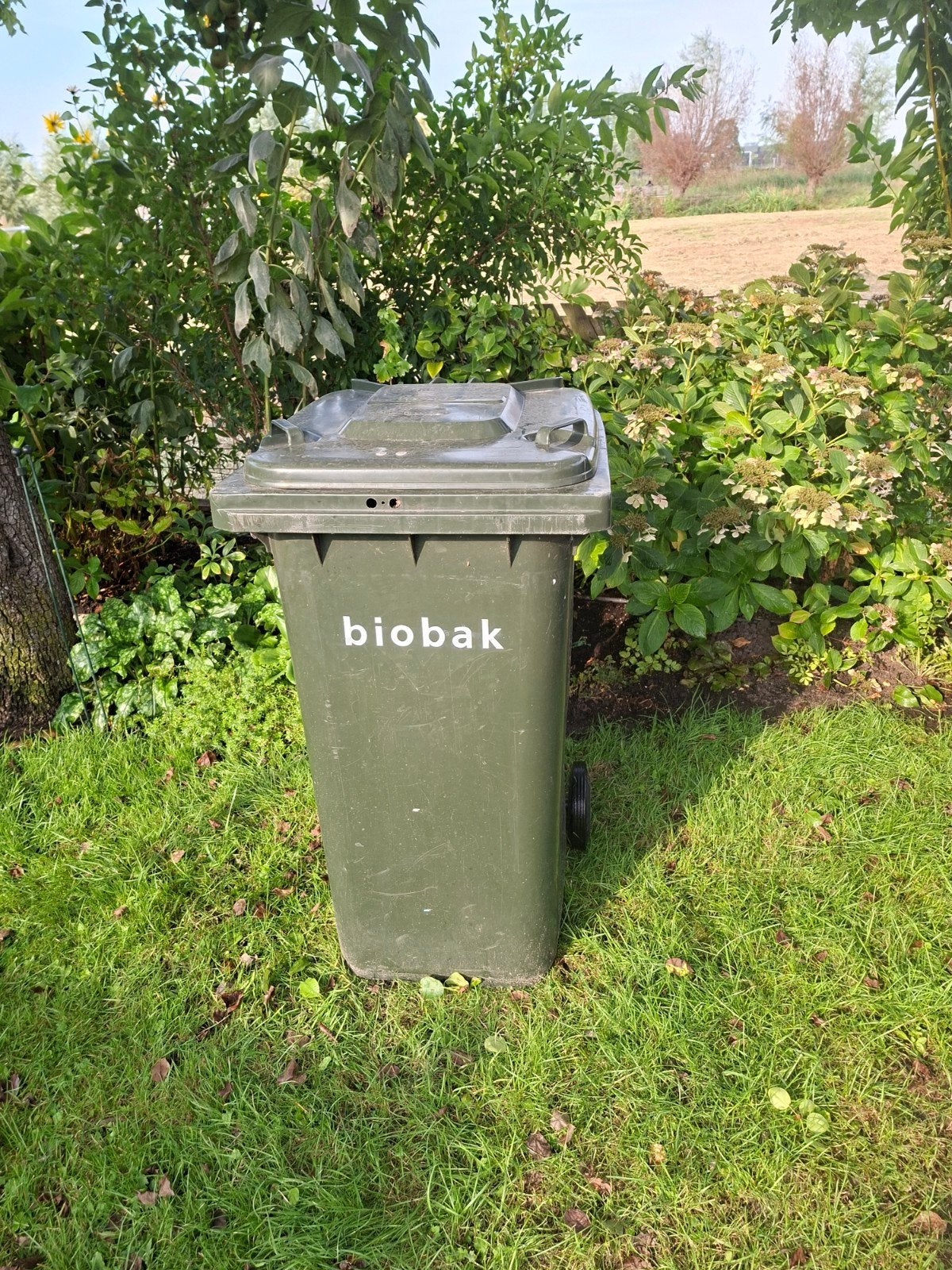 240 liter container. ophalen meerdere locaties NL, Ophalen of Verzenden