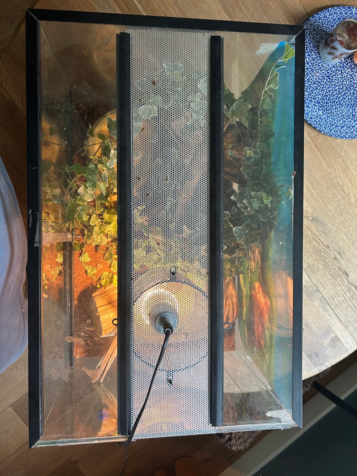 Foto 4 van Terrarium incl. Warmte lamp, waterbak en slotje