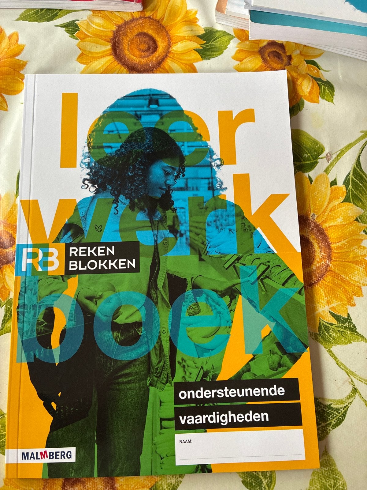 Rekenblokken Ondersteunende Vaardigheden & Slim Rekenschrift, Ophalen of Verzenden, Zo goed als nieuw, Overige niveaus, Overige vakken
