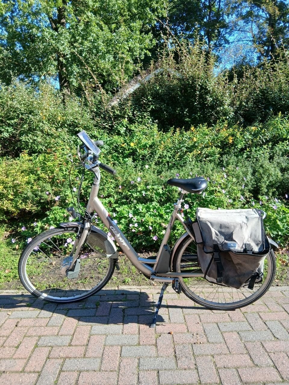 Nette Giant Twist E-Bike  + 2 Goede Accu's & Lader, Ophalen, Gebruikt, Giant