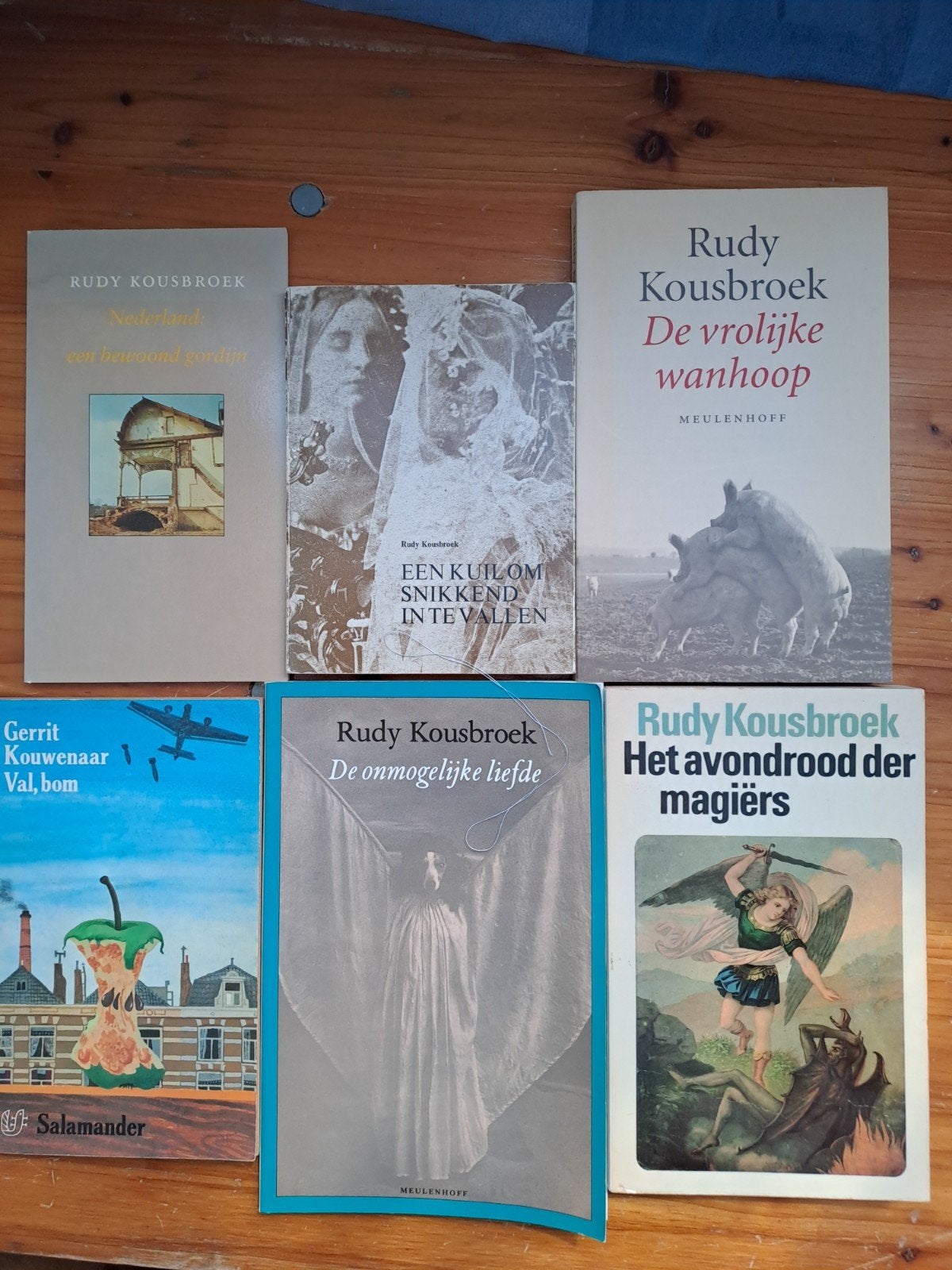 Rudy Kousbroek - 8 De vrolijke wanhoop, Ophalen of Verzenden, Zo goed als nieuw, Rudy Kousbroek