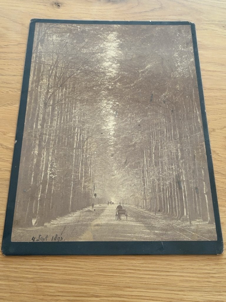 Antieke foto 1893 – bomenlaan met rijtuig, Antiek en Kunst, Verzenden, Foto, Fotografie