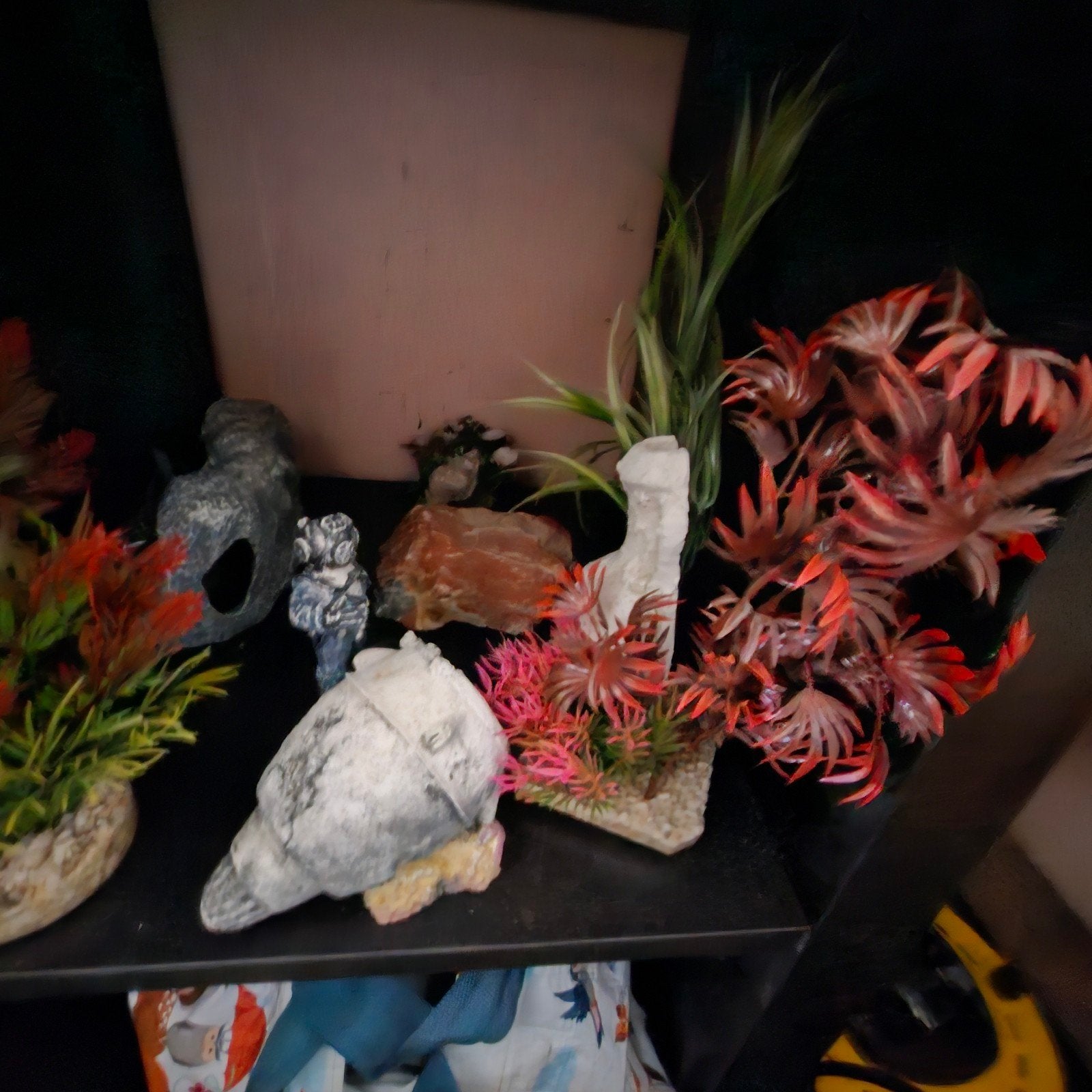 grote partij aquarium benodigdheden,  kweekstelling aquarium, Dieren en Toebehoren, Vissen | Aquaria en Toebehoren, Ophalen, Plant(en), Steen of Hout